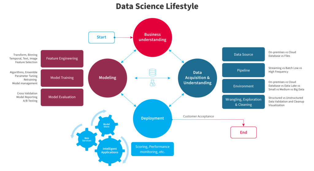 What you need to know about data science team roles