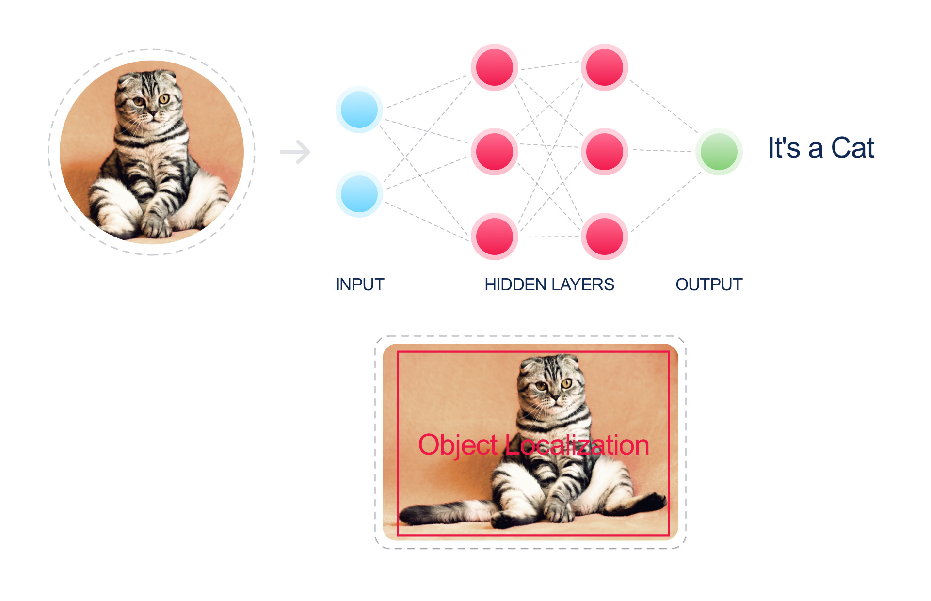 pet-food-market-segmentation-9-bitesize-demographics-attest-blog