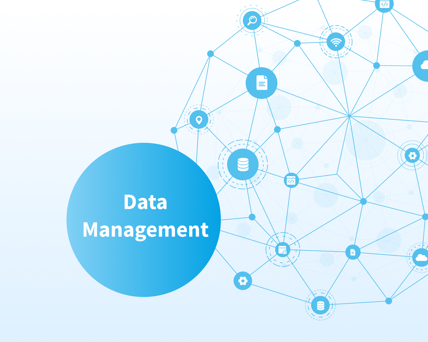 Data Management Strategy: Implementation Process and Examples of System Components